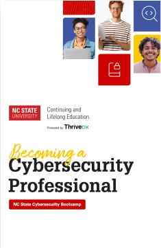 Becoming a cybersecurity professional cover sp