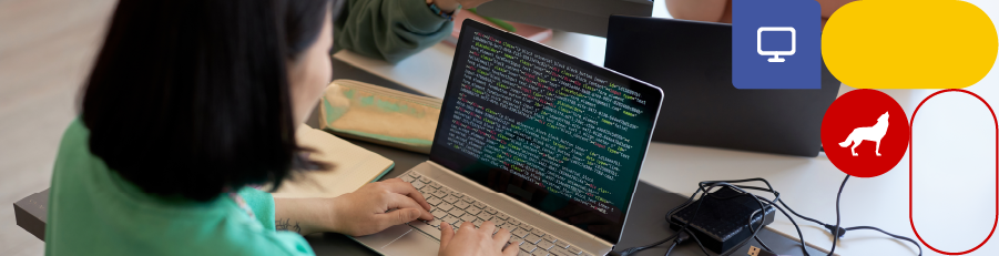 Person coding on a laptop at a desk with multiple laptops and office supplies